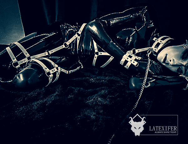 Latexifer Session