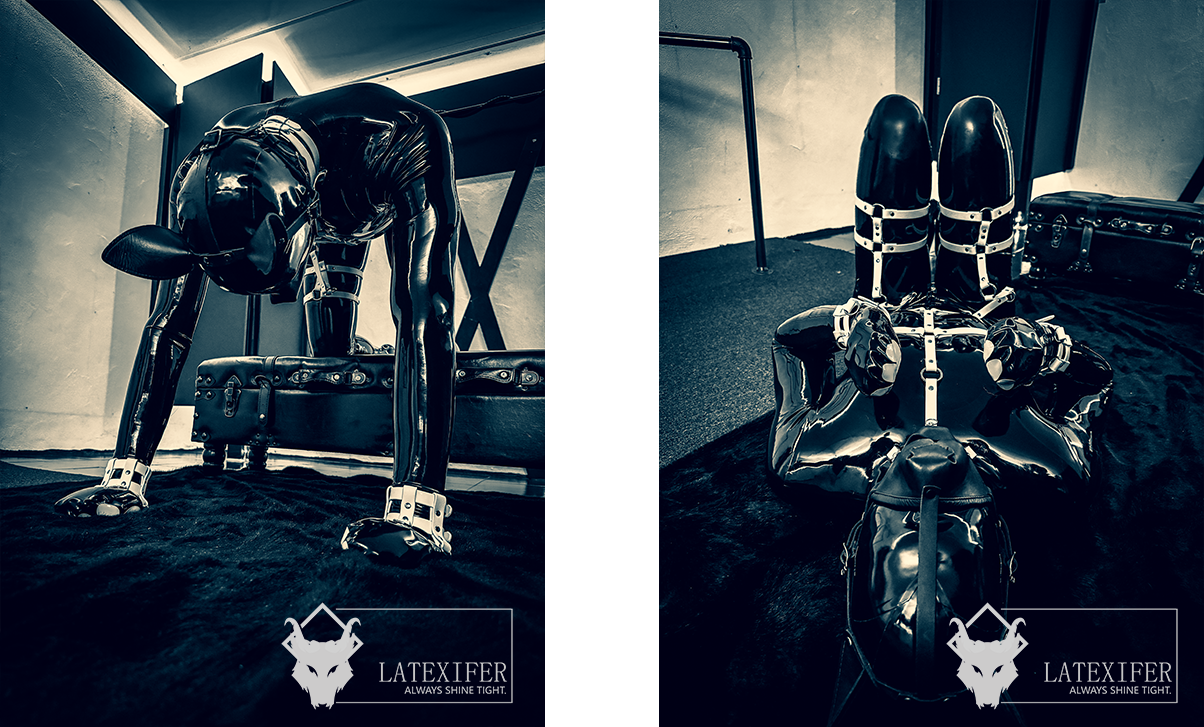 Latexifer Session 20